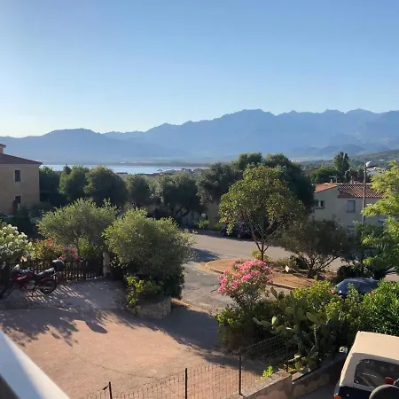 Vue Et Montagne * Calvi (Corsica)